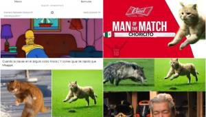 Te dejamos los divertidos memes de la victoria de México sobre Bermudas en la Liga de Naciones Concacaf, y un gato se robó el show.