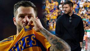 El conjunto felino le ha ofrecido un puesto en la directiva a Gignac, pero el delantero no piensa en colgar los botines y quiere seguir jugando.