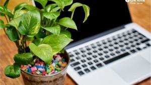 Diseños de espacios de trabajo bien pensados para una producción inspirada