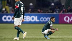 Batacazo en la Copa Libertadores: el bicampeón Palmeiras es eliminado en semifinales por el Paraenese