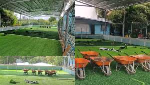 CONFIRMADO: Condepor arrancó la instalación de la grama sintética en la cancha infantil Dientes de Leche en el complejo José Simón Azcona.