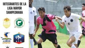 Rumbo a Liga de Ascenso: El equipo de Alberth Elis, Panteras FC conoce formato de cara a las departamentales de Liga Mayor de Honduras