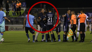 El entrenador del Motagua perdió los estribos minutos después de que el réferi expulsara a su preparador de porteros Hugo Caballero.