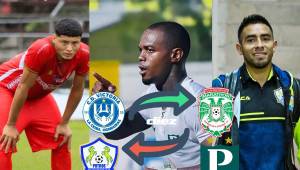 Se activa cada vez más el mercado de fichajes de la Liga Nacional de Honduras, los grandes son los protagonistas.