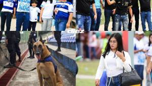 EN FOTOS: Fiesta catracha en el Estadio Nacional de Managua, las chicas que robaron suspiros, el perro antidroga y el party que tiene preparada La H si clasifica al Mundial 2026. FOTOS: MAURICIO AYALA | YOSEPH AMAYA.