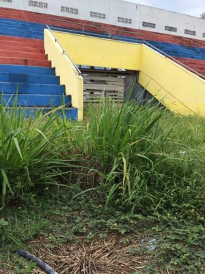 Estadio de La Ceiba está abandonado a un mes que inicie el Apertura