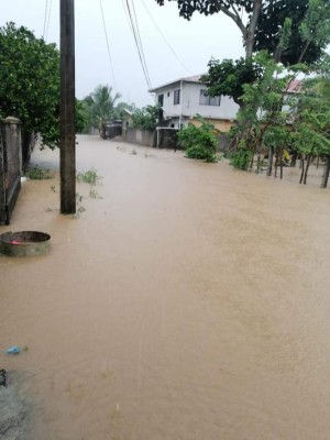 ¡Puentes derrumbados, desbordes y deslizamientos! Huracán Eta sigue causando daños en Honduras