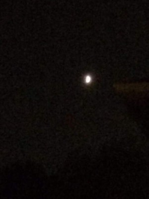 Los mejores memes que dejó la Superluna que maravilla al mundo