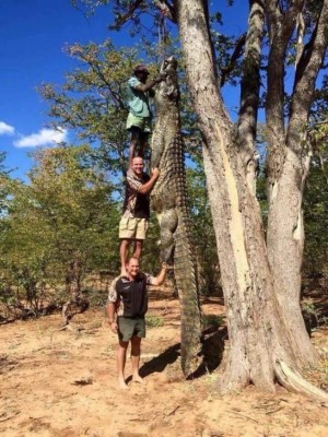 27 fotos que demuestran que Australia es un país 'aterrador' para vivir