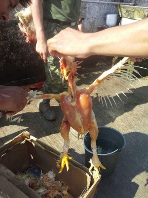 Aficionados del Olimpia también celebran con memes