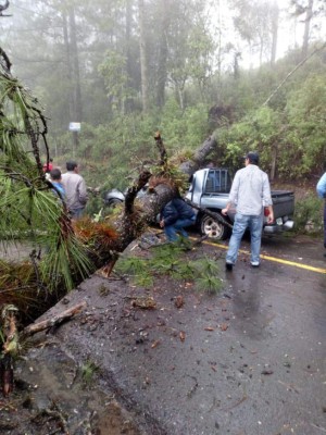 FOTOS: Caos y destrucción en Tegucigalpa por fuertes lluvias