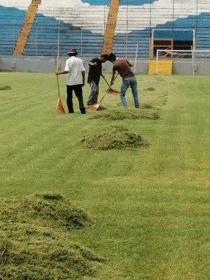 ¡El césped más verde! Así lucen los estadios de Honduras en esta cuarentena