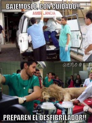 Los memes que dejó el Seattle Sounders-Olimpia