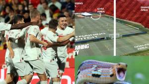 Selección europea estudia cambiar su sede de entrenamiento en Estados Unidos por presencia de víboras venenosas