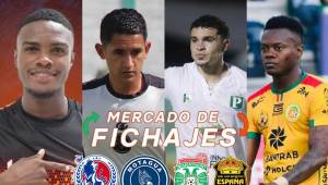 ¡Arde el mercado de fichajes! Olimpia quiere un bombazo, nuevo legionario, Lobos UPN saca la chequera y Génesis confirma refuerzos.