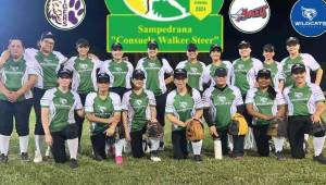 Liga Femenina de Sóftbol regresa a la acción este fin de semana con entretenidos juegos.