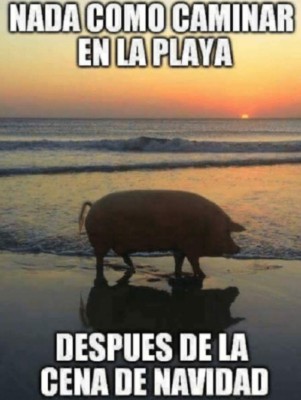 IMPERDIBLES: Los mejores y más divertidos memes de la navidad 2018