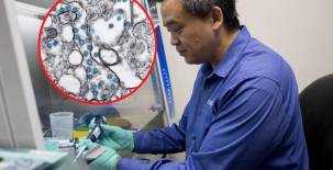 La cepa de California tiene síntomas de mayor impacto en las personas y las vacunas son menos efectivas.