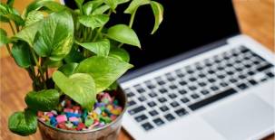 Diseños de espacios de trabajo bien pensados para una producción inspirada
