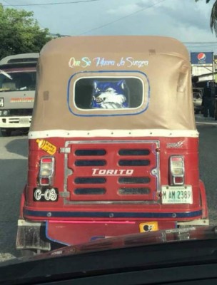 ¡Para morirse de la risa! Los insólitos mensajes que se ven en buses y taxis de Honduras