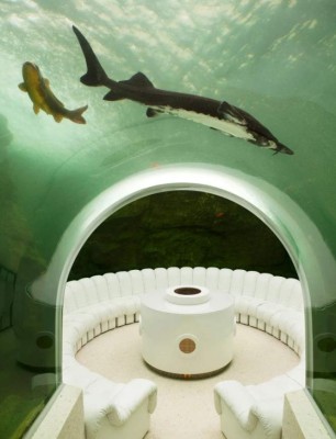 Puertas de oro y un acuario: Así es por dentro la casa más cara del mundo que pertenece a Bin Salman&nbsp;&nbsp;