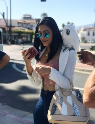 Gaby Salazar, la Reina de belleza que enamora en la pantalla de TV