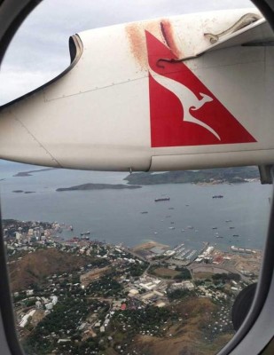 27 fotos que demuestran que Australia es un país 'aterrador' para vivir