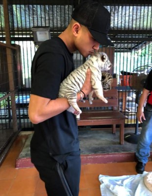 Así es la millonaria vida del futbolista más rico del mundo: Mansiones, tigres y autos de lujo
