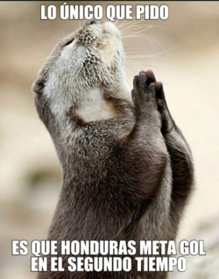 Los memes que dejó el juego amistoso entre Argentina y Honduras