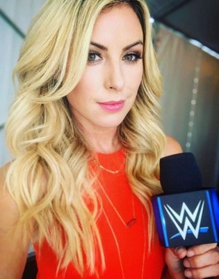 Sarah Schreiber, la sensual presentadora norteamericana de la que todos hablan en la WWE