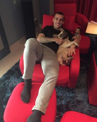 Caso Sturridge: Los futbolistas y su amor a las mascotas; perros, gatos y hasta un cerdito