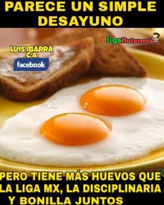 ¡No los perdonaron! Suspensión de Liga MX deja divertidos memes