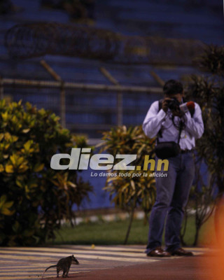 Las mejores imágenes de la Jornada 10 en Honduras