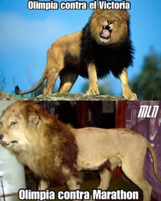 Los crueles memes de la fecha 10 de la Liga Nacional: No perdonan a Real España tras el derbi