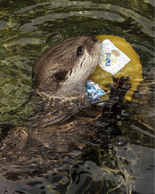 El Superclásico entre Barcelona vs Real Madrid .
