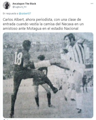 Le caen las avispas: Lluvia de críticas para periodista Carlos Alberth por llamar 'imbécil' a Leverón