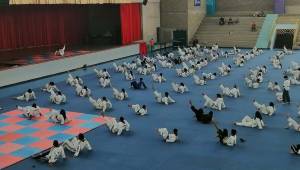 La siguiente jornada de la liga de taekwondo se ejecutaró el domingo 15 de mayo en el polideportivo del Instituto San José del Carmen.