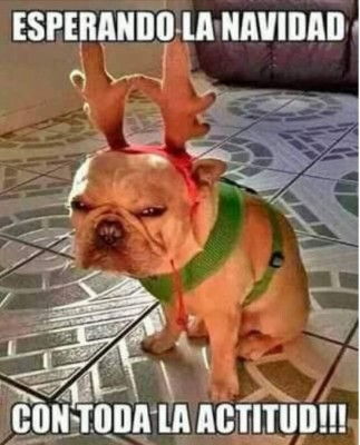 Los memes más divertidos de Navidad que le dan la vuelta al mundo