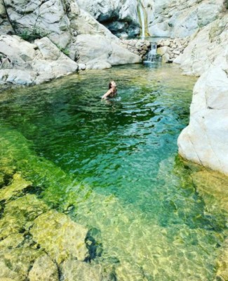 La nueva vida de María Sharapova: Negocios millonarios, regala autos y su imponente físico