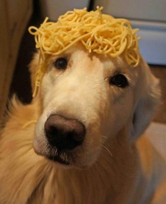 ¡Qué memes! Se burlan del nuevo peinado de Neymar en las redes sociales