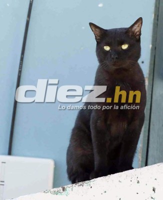 Así fue el último entreno de Honduras antes del amistoso con Belice