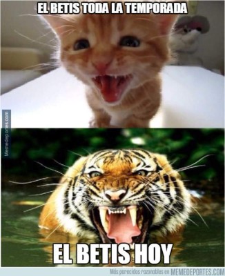 Real Madrid es acribillado con memes tras gris empate ante el Betis