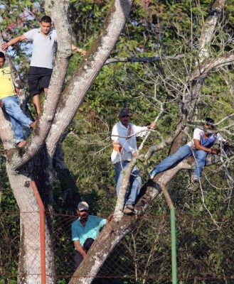 Subidos en los árboles, golpes a árbitros y la soledad del Yankel en la Copa Presidente