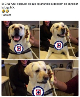 Liga MX: Cruz Azul, víctima favorita de los memes tras la cancelación del clausura por el coronavirus&nbsp;&nbsp;&nbsp;