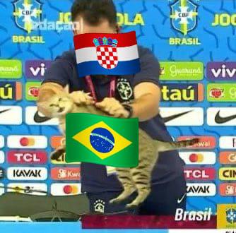 La venganza del michi: memes destrozan a Brasil tras quedar eliminado del Mundial ante Croacia