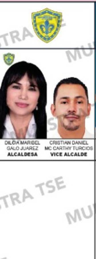 Los diez aspirantes a la alcaldía por el Distrito Central