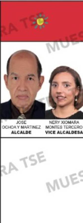 Los diez aspirantes a la alcaldía por el Distrito Central