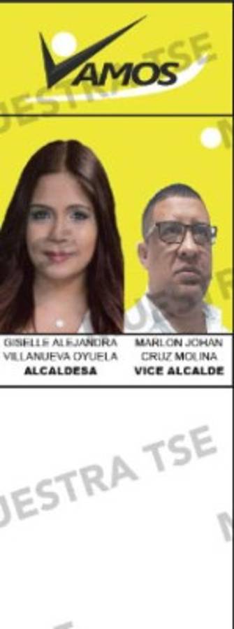 Los diez aspirantes a la alcaldía por el Distrito Central