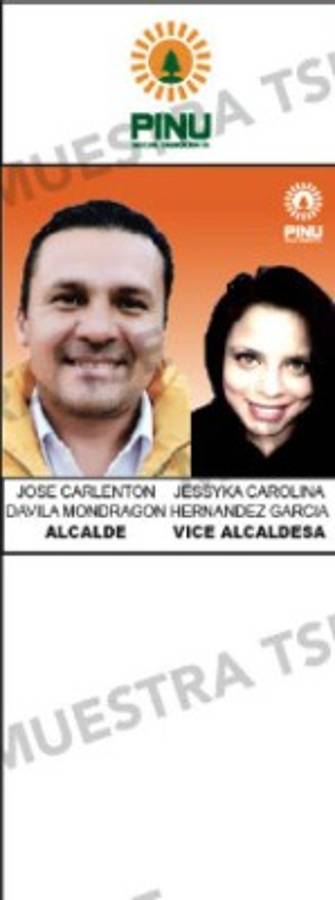 Los diez aspirantes a la alcaldía por el Distrito Central