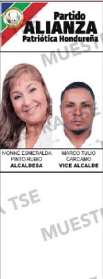 Los diez aspirantes a la alcaldía por el Distrito Central